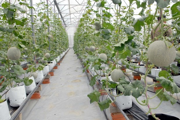 Promotion de l innovation et de l investissement dans les technologies agricoles